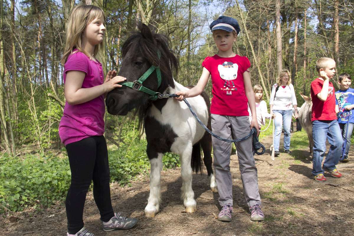 Erlebniscamp mit Tieren Erlebniscamp mit Tieren