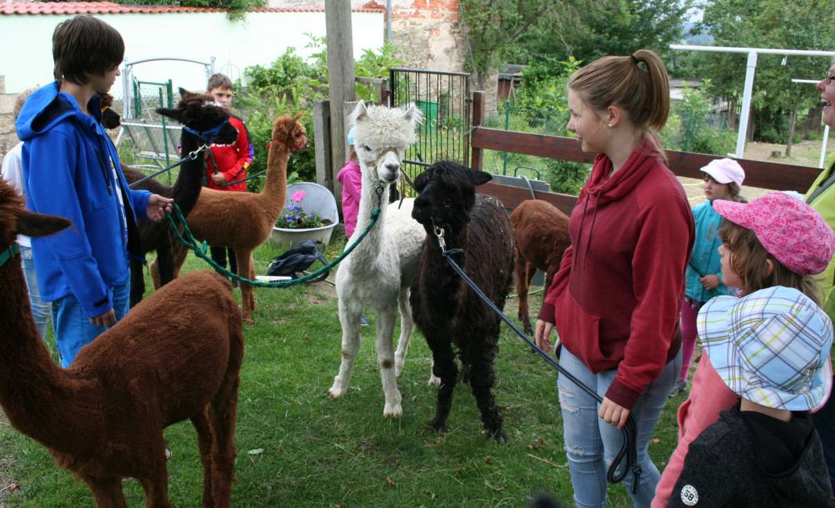 In 7 Tagen um die Welt (Feriencamp) In 7 Tagen um die Welt (Feriencamp)