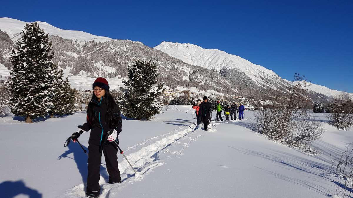 Internationales Winter Camp (Ferienlager) Internationales Winter Camp (Ferienlager)