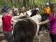 Erlebniscamp mit Tieren Erlebniscamp mit Tieren