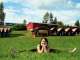 Englisch Sprachcamp Plus Englisch Sprachcamp Plus